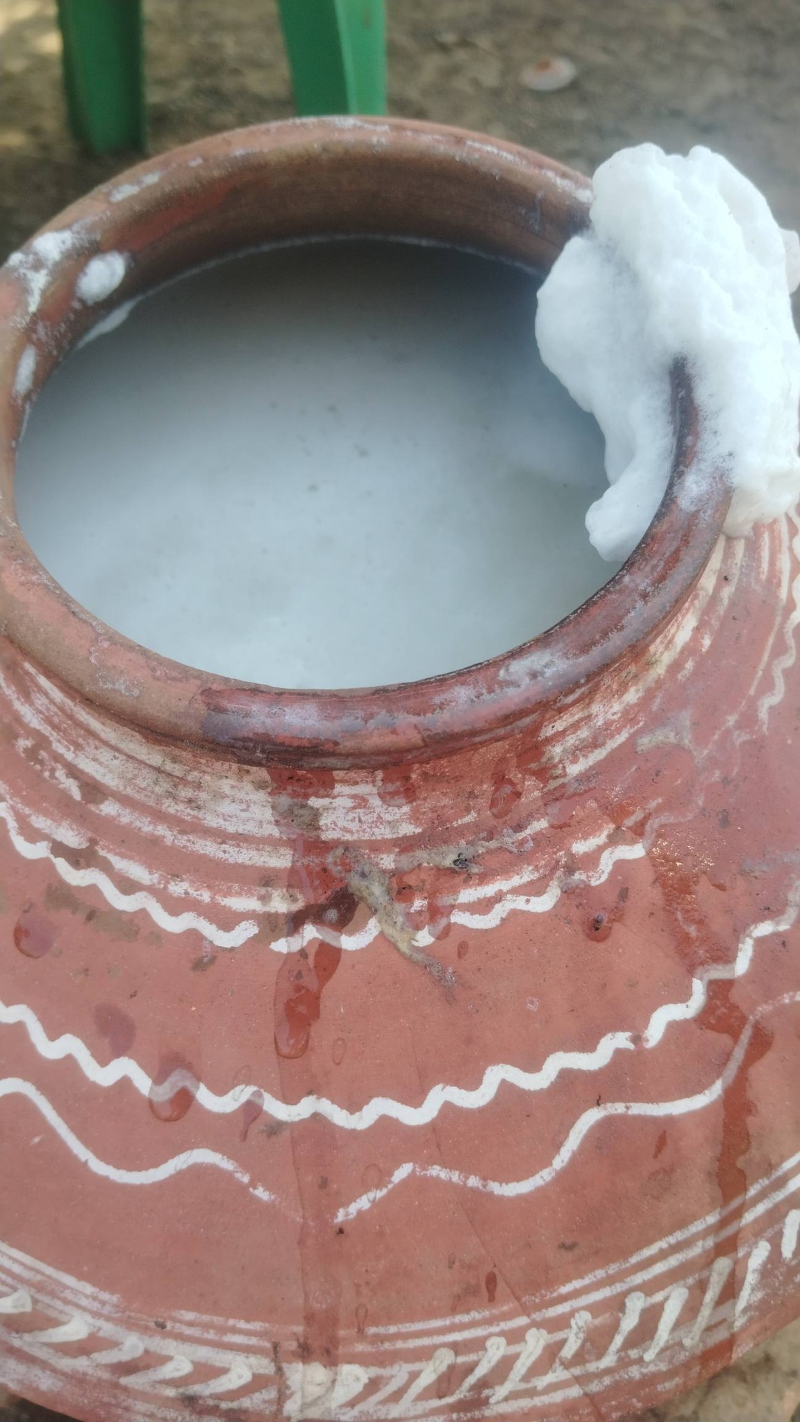 दही मठ्ठा — मिट्टी के बर्तन में