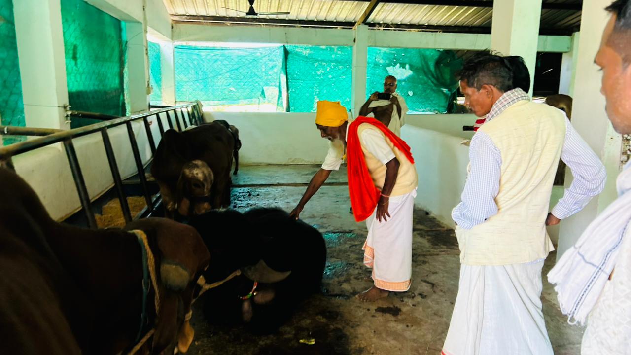 पशु-सेवा