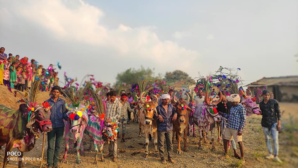 गौहरी