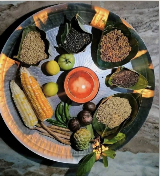 Navai — Sanyam, Sah-Astitva aur Kritagyta
